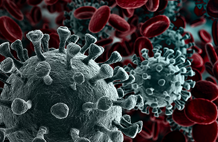 Washington Examiner: Coronavirus has been particularly deadly to residents in nursing homes.