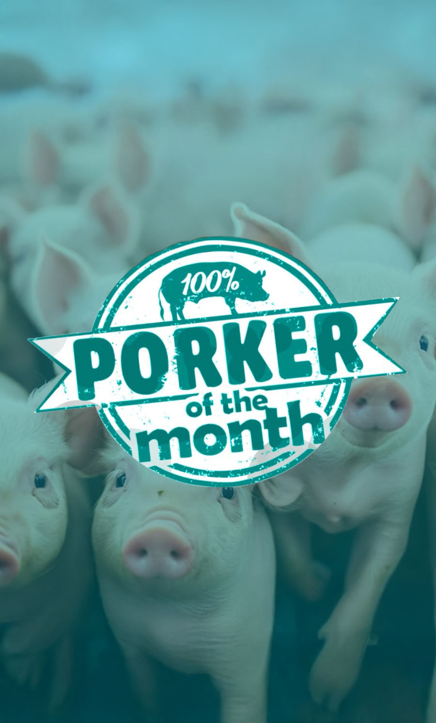 final-image-porker-1-improved